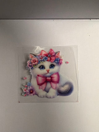Kitten cute wraps